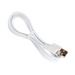 Close up view of lightning to usb cable on a white background neatly tied